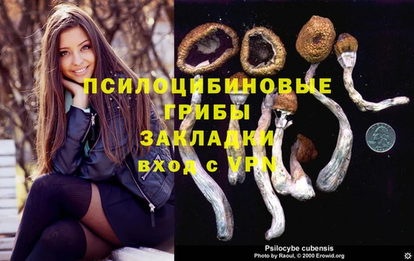 apvp Магадан