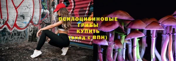apvp Магадан