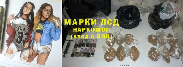 apvp Магадан
